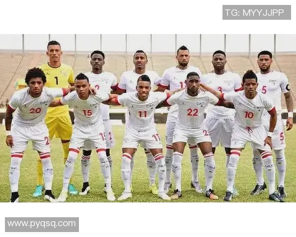 杭州足球队在世界杯中的团队协作表现分析与评价